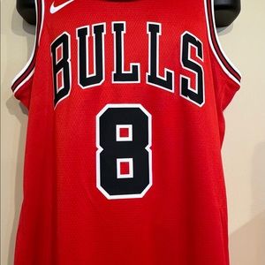 Chicago Bulls Nike Zach Levine swingman jersey